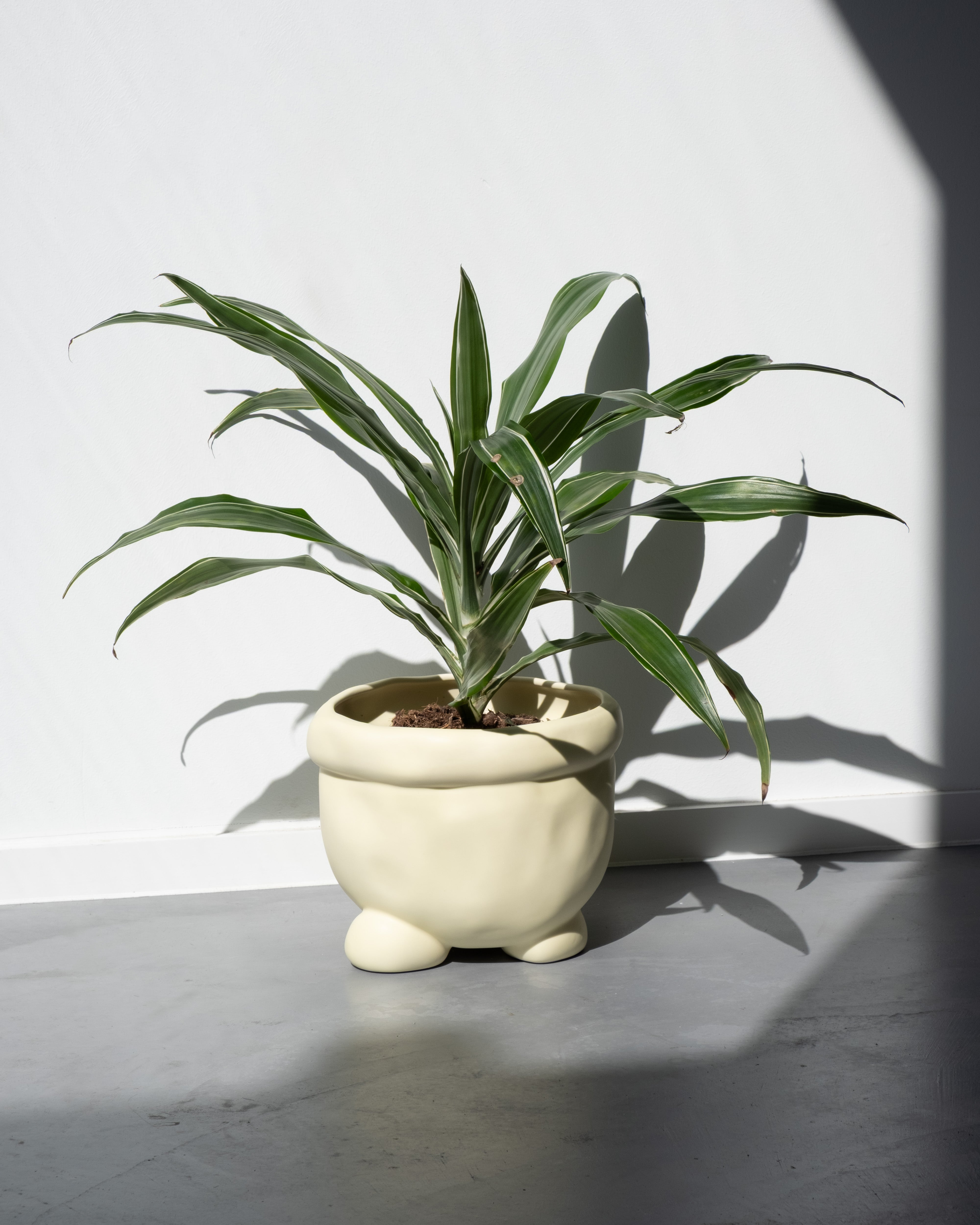 Planter 'BARNEY'