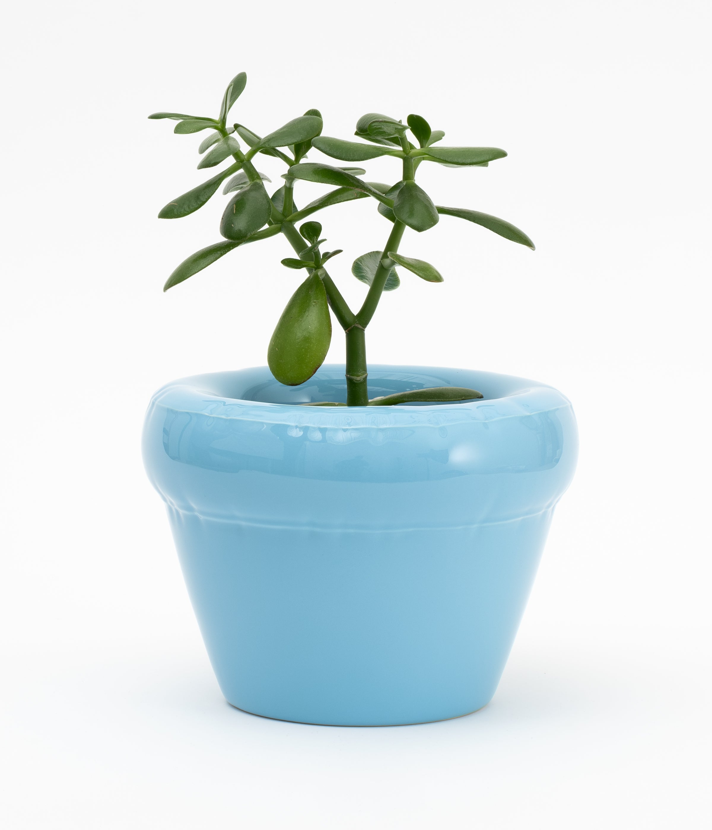 Planter 'PIERRE' Sky Gloss