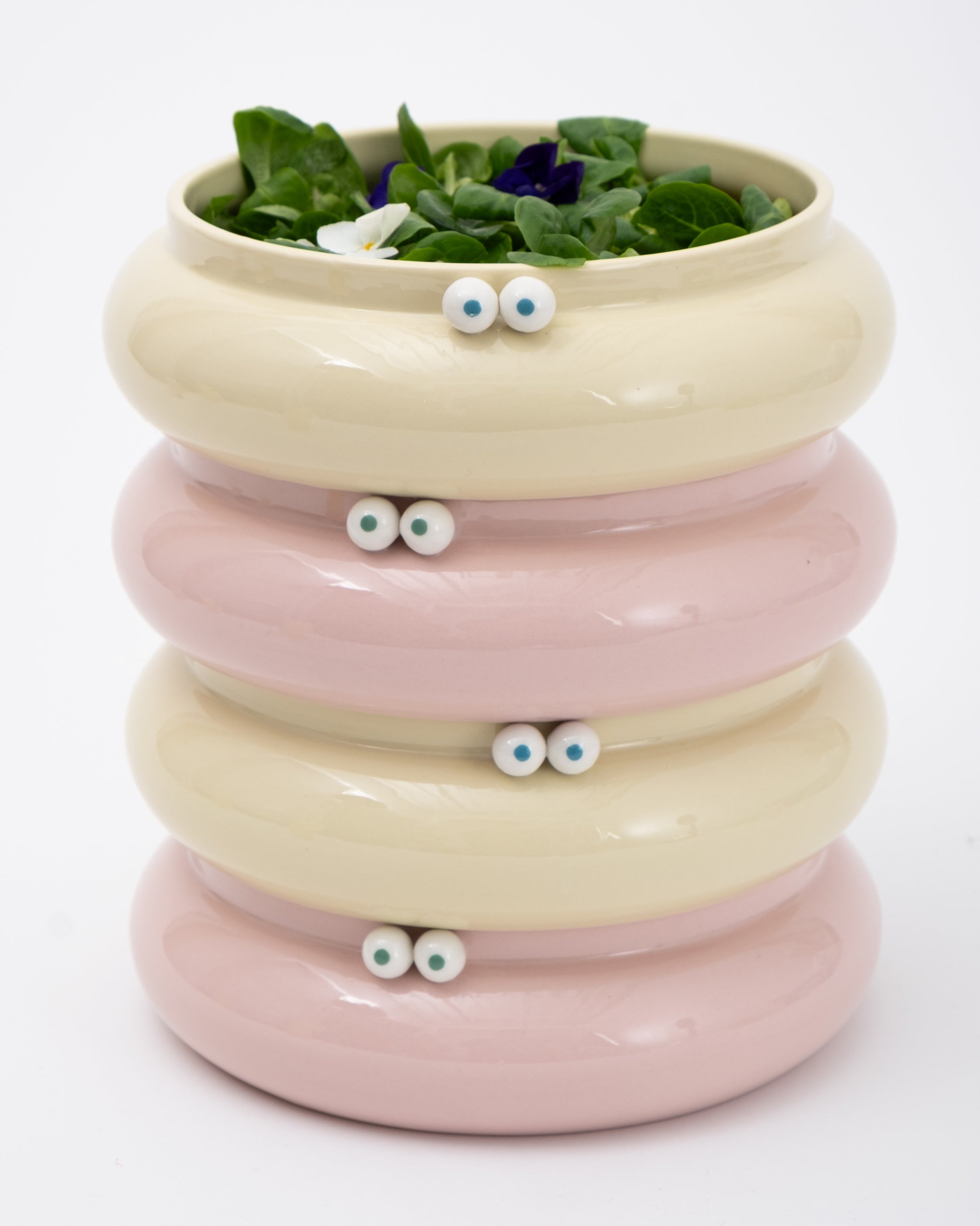Lucas Zanotto 'THE BOWL'