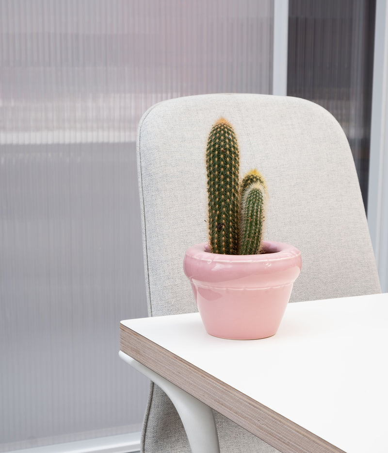 Small planter 'LOUIS' Gloss