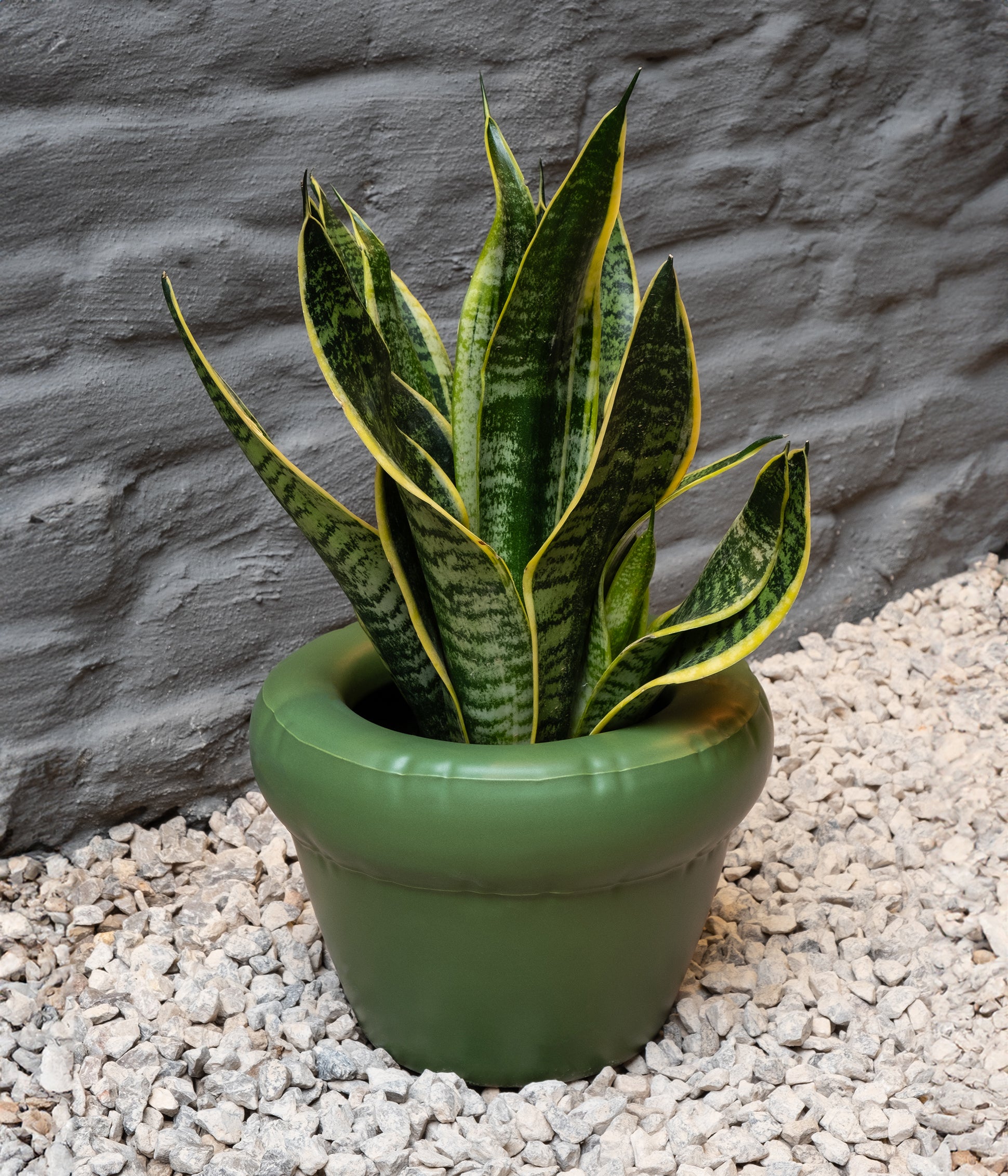 Planter 'PIERRE' Moss