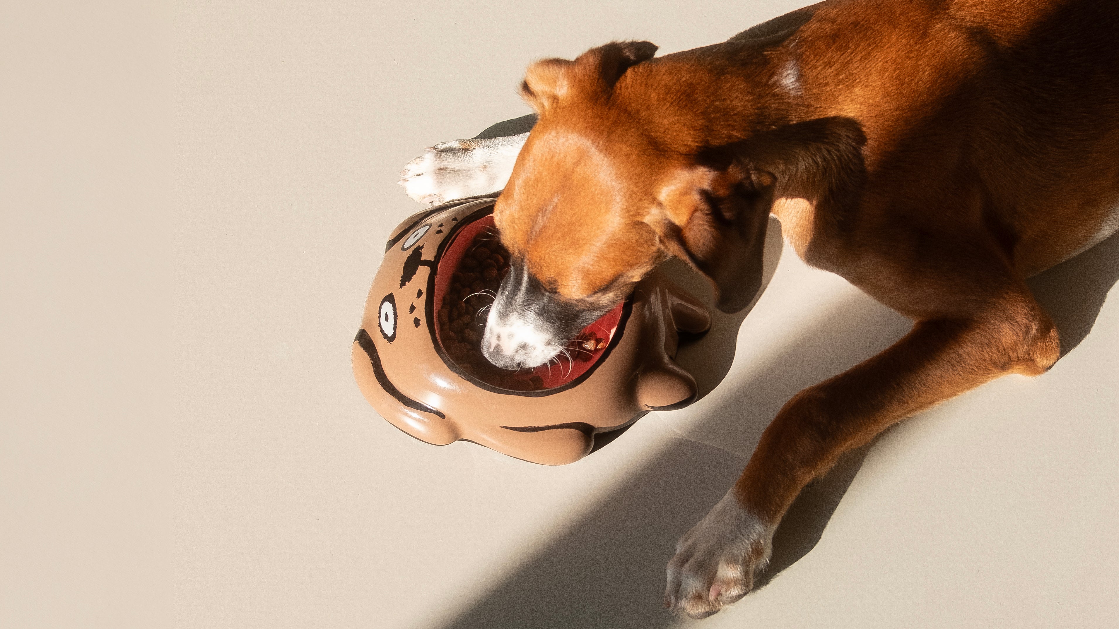 Dog eating out of a Home Studyo - Jean Jullien - dog bowl shaped like a dog's face on a beige background